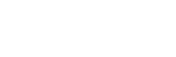 Novus Network Logo